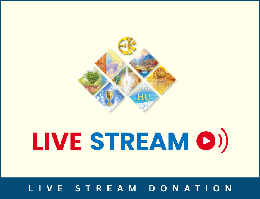 Live Stream Donation